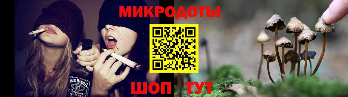 Псилоцибиновые грибы Psilocybe  Вход с VPN  Химки 